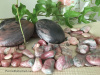 The lovely Rhodochrosite helps you to direct loving kindness towards yourself. 